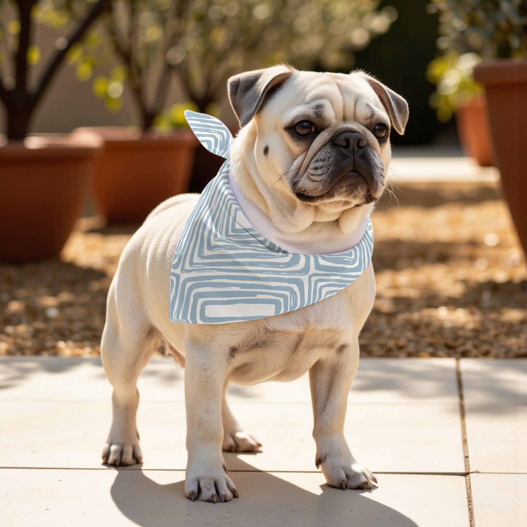 Pack of 2 PEÑISCOLA B pet bandanas