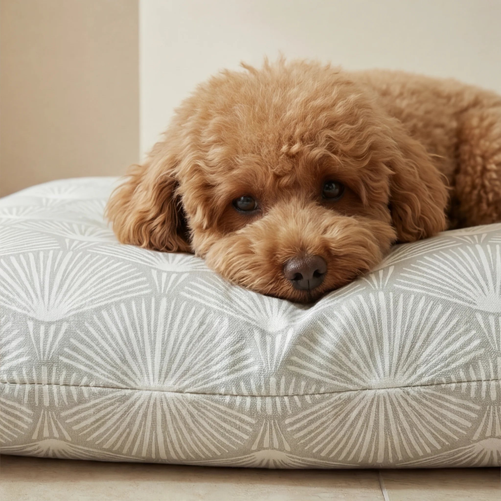 Housse de lit pour animaux anti-taches 0120-182