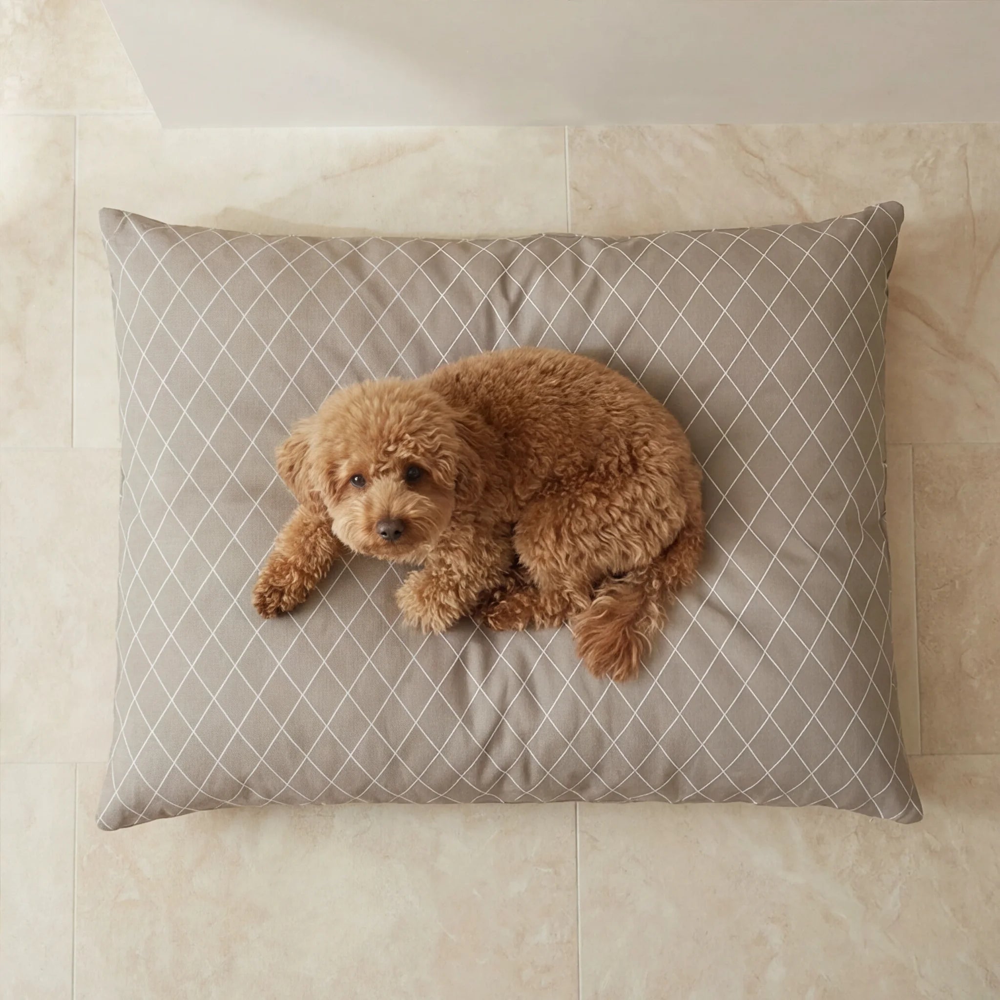 Removable stain-resistant pet bed 0120-295