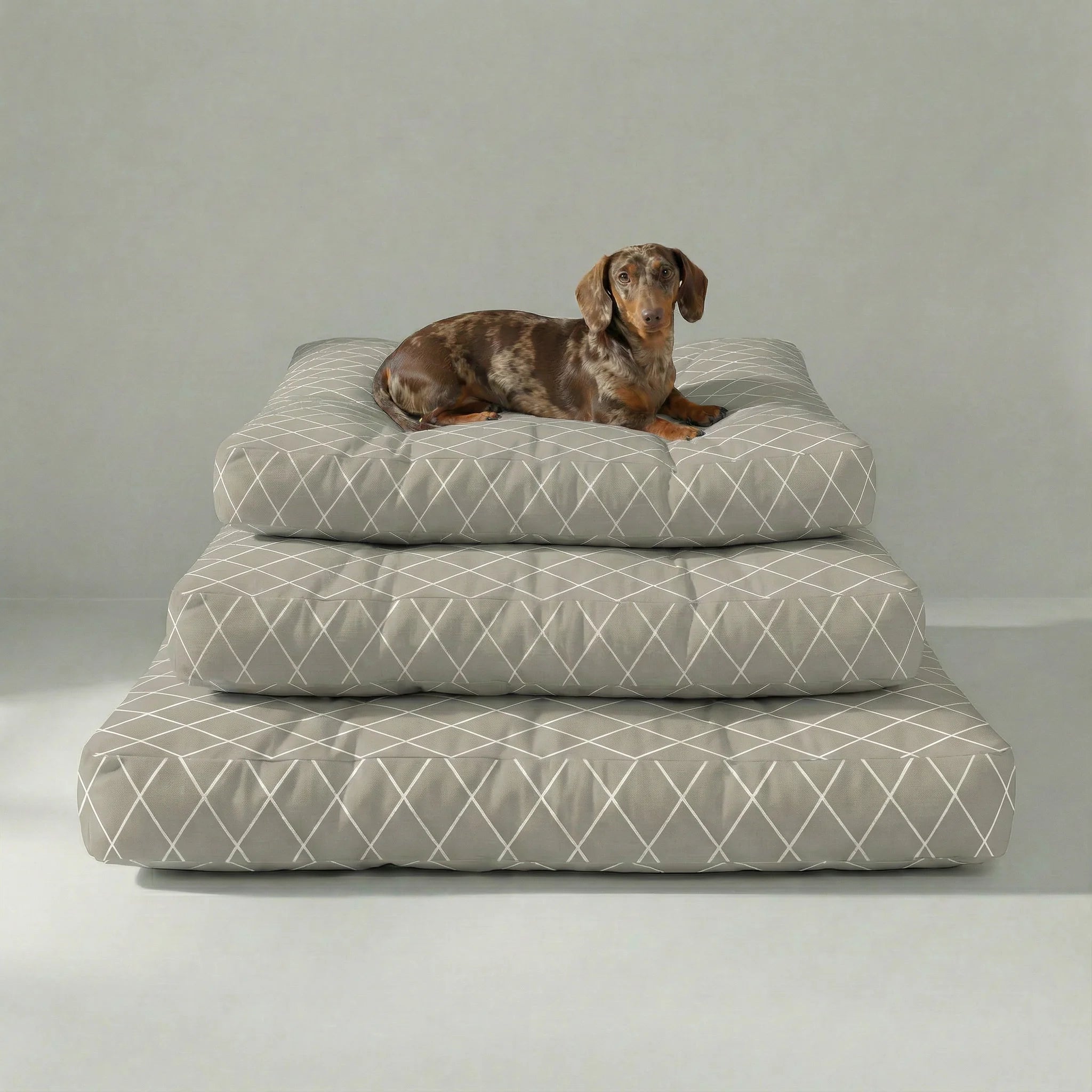 Panier pour animaux épais et rembourré avec finition anti-taches 0120-295