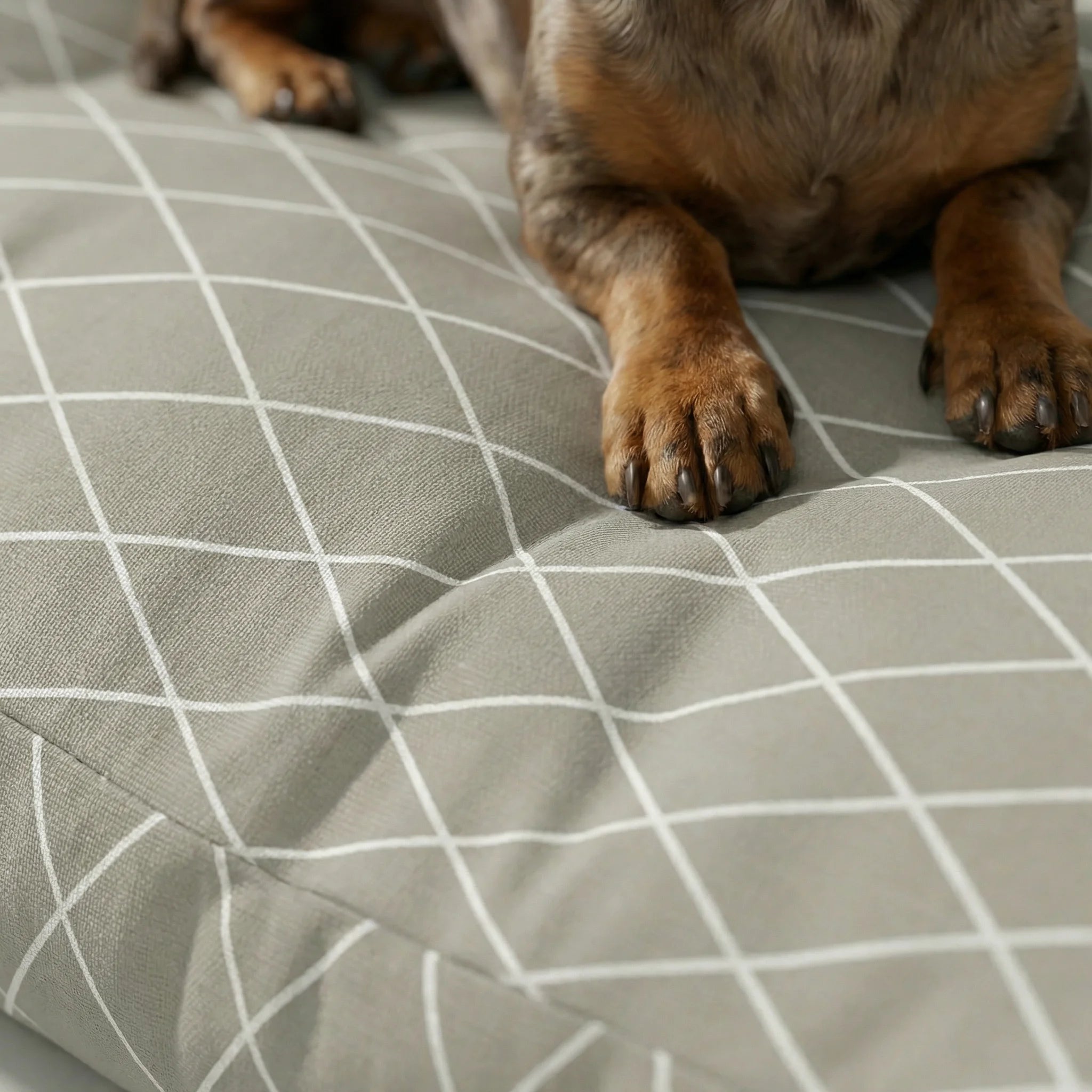 Panier pour animaux épais et rembourré avec finition anti-taches 0120-295