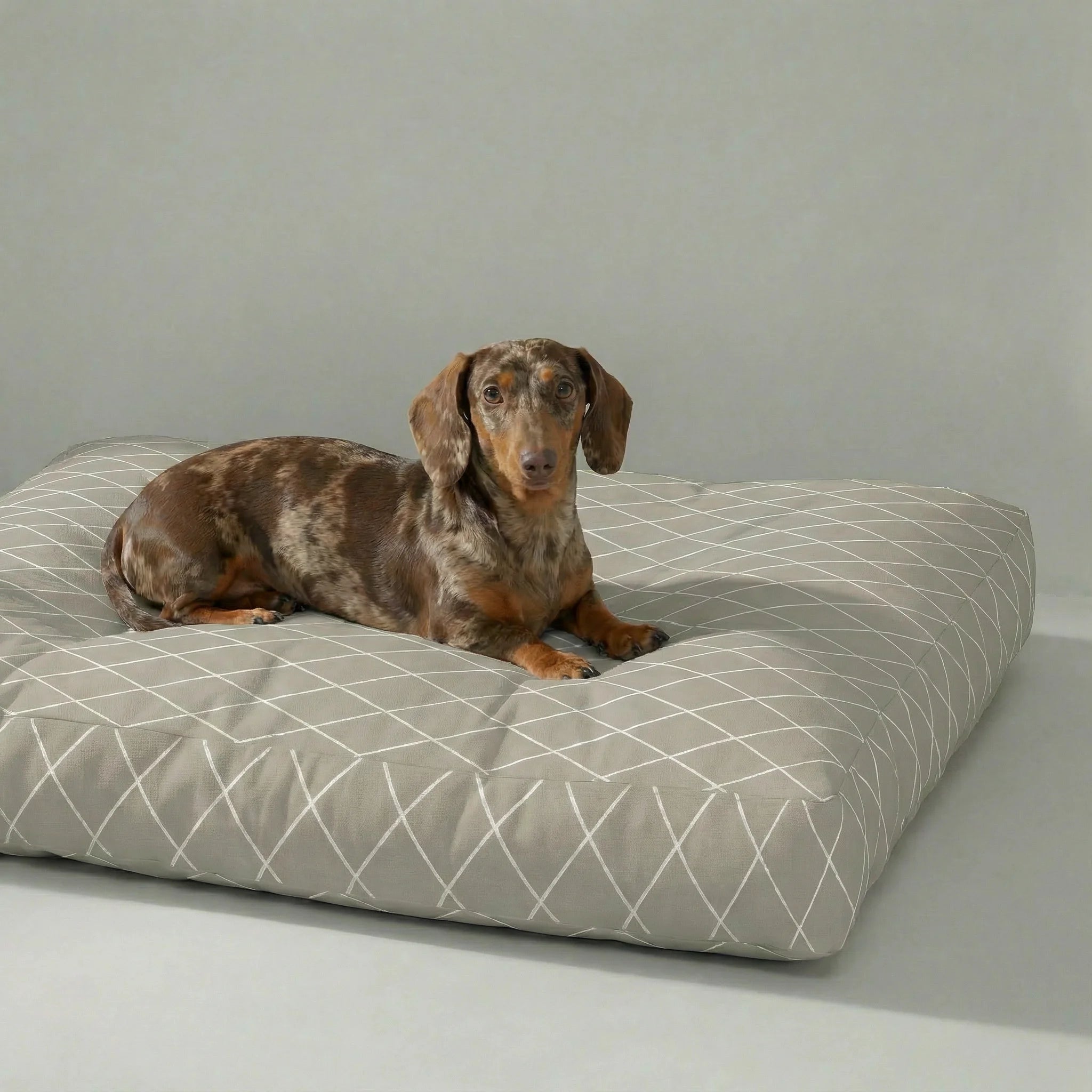 Panier pour animaux épais et rembourré avec finition anti-taches 0120-295