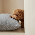 Pet bed cover stain-resistant 0120-297