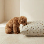 Stain-resistant pet bed cover 0120-305