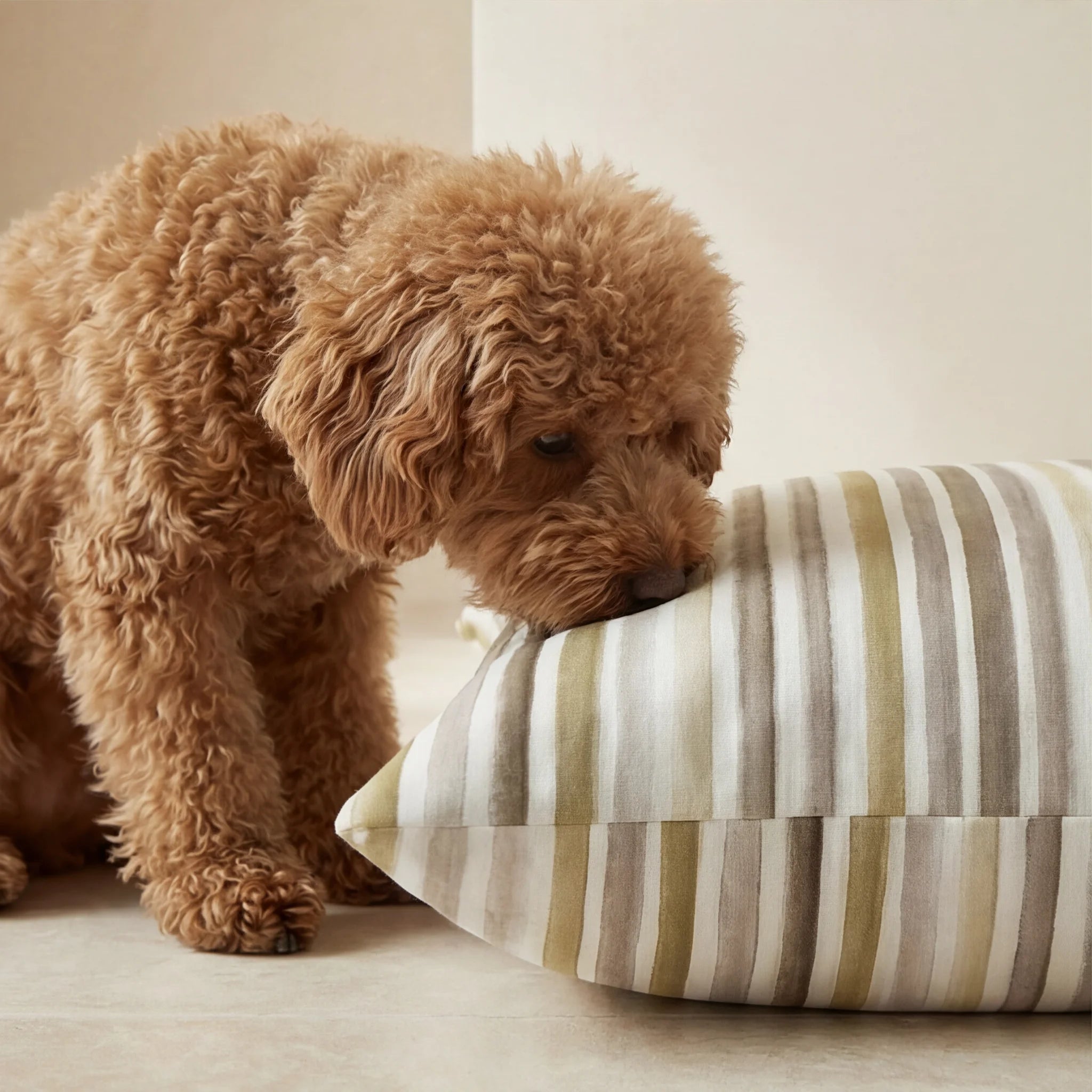 Stain-resistant removable pet bed cover 0120-421