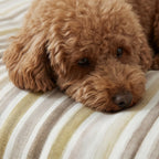 Stain-resistant removable pet bed cover 0120-421