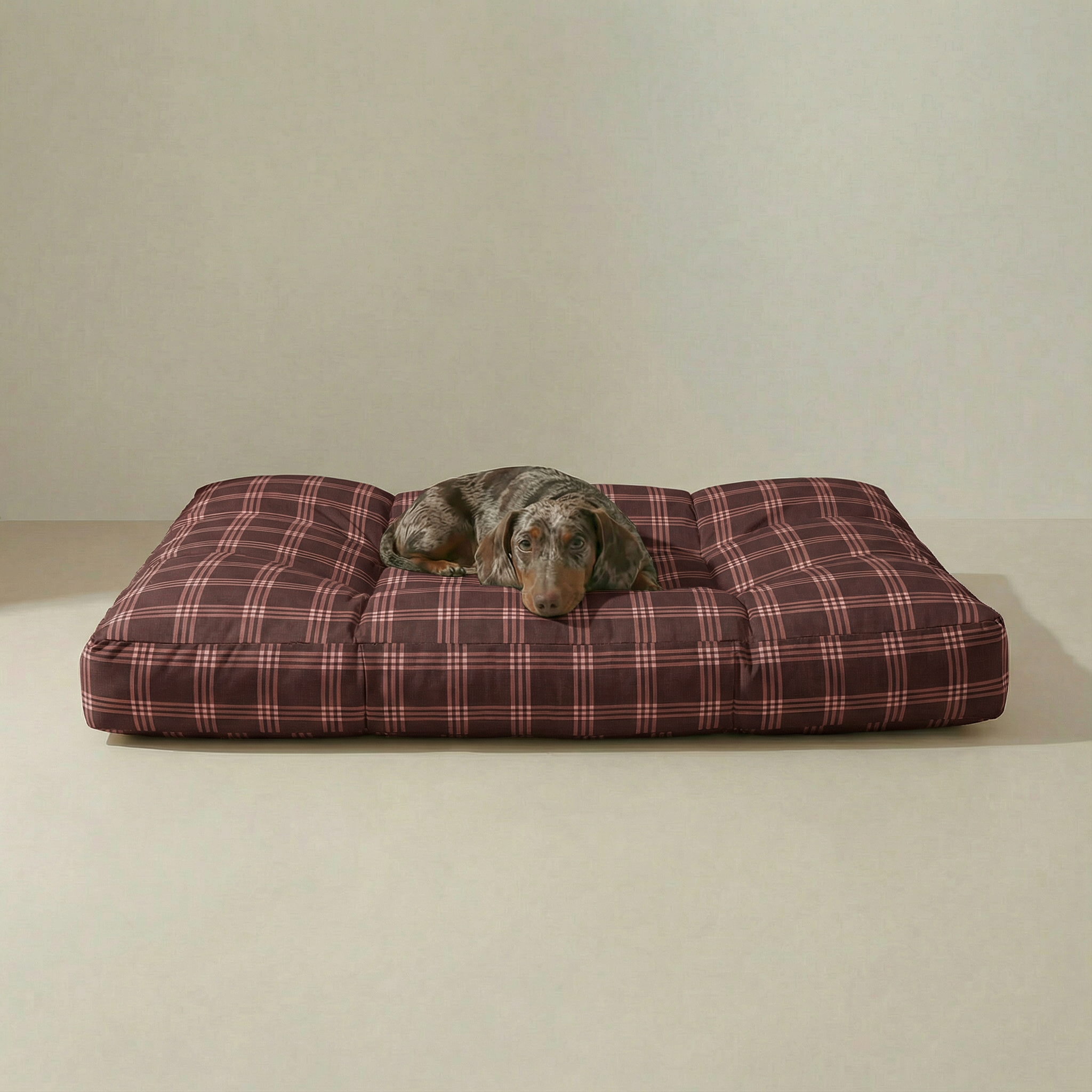 Cama para mascota gruesa y acolchada con acabado antimanchas Gus