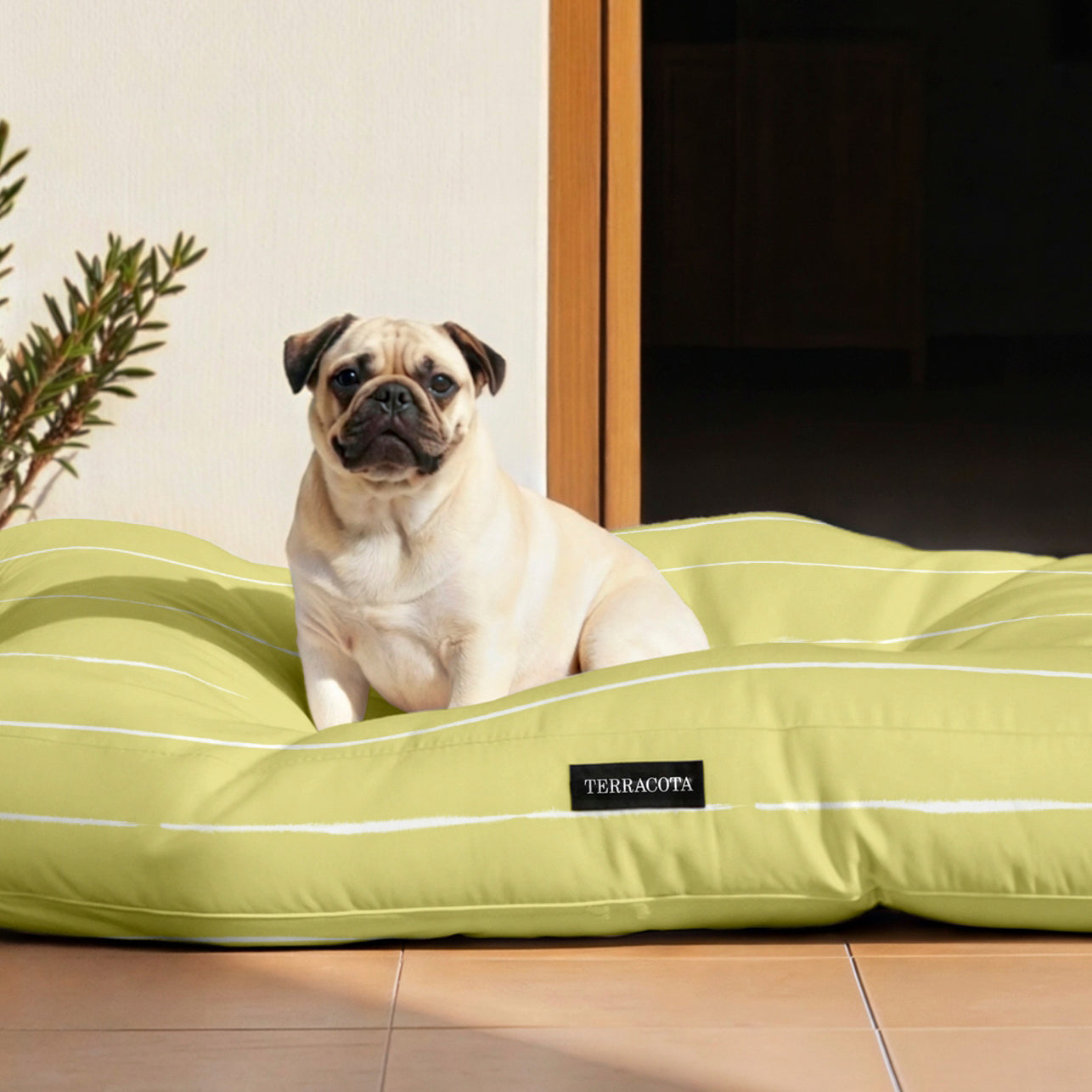 Cama de mascota 100% algodón antimanchas Andover 15