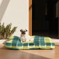 Cama de mascota 100% algodón antimanchas Sutton Esmeralda