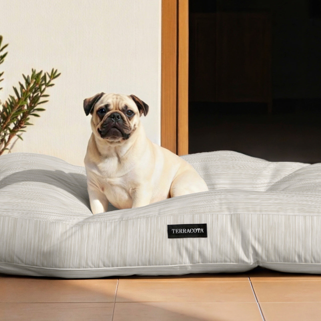Cama para mascotas 100% algodón antimanchas Lesa 125 Beige