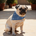 Pack 2 unidades bandana para mascotas Modelo 11