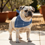 Pack 2 unidades bandana para mascotas Modelo 11