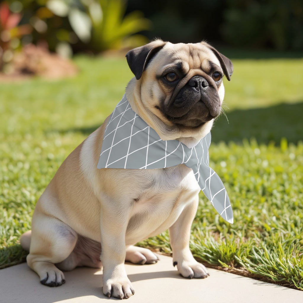 Pack 2 unidades bandana para mascotas Modelo 12