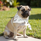 Pack 2 unidades bandana para mascotas Modelo 14
