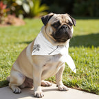 Pack 2 unidades bandana para mascotas Modelo 21