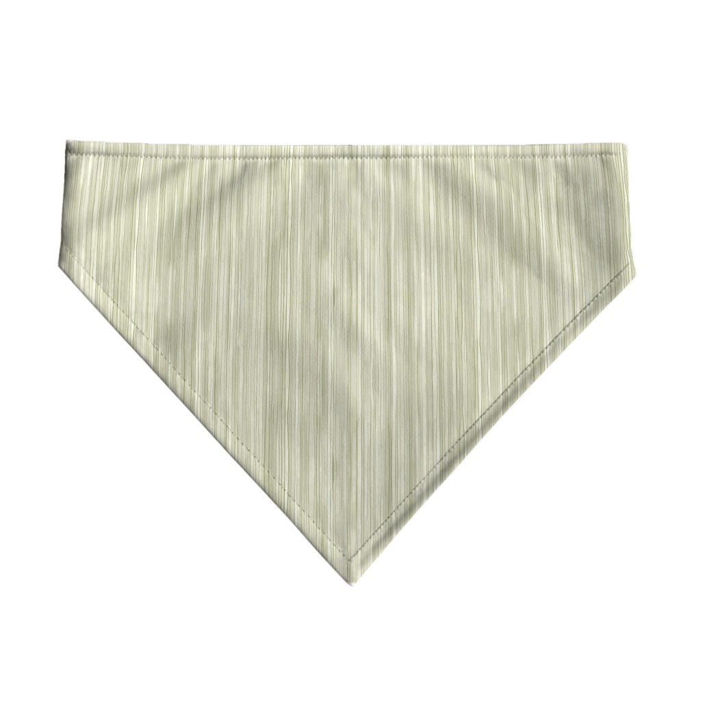 Pack 2 unidades bandana para mascotas Modelo 26