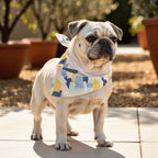 Pack 2 unidades bandana para mascotas Modelo 3