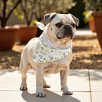 Pack 2 unidades bandana para mascotas Modelo 5