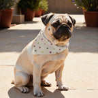 Pack 2 unidades bandana para mascotas 0119-19