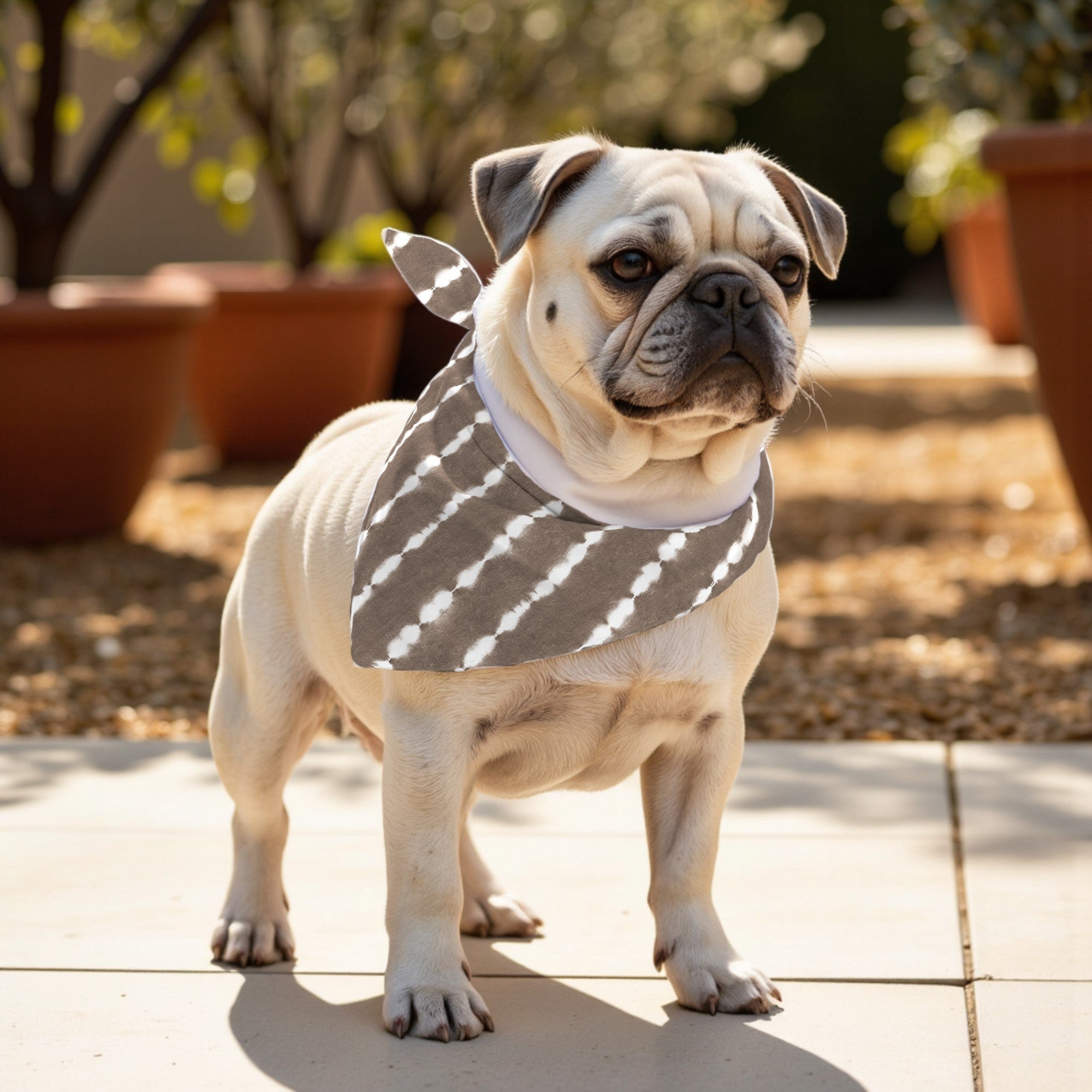 Pack 2 unidades bandana para mascotas BOLTON 6 RED.