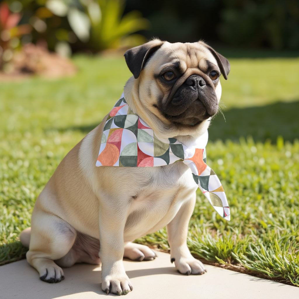 Pack 2 unidades bandana para mascotas BOO 924-5 HIGH