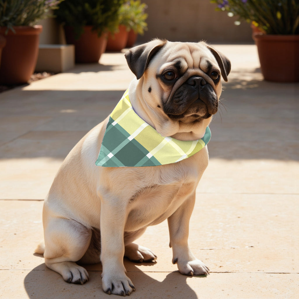 Pack 2 unidades bandana para mascotas SUTTON ESMERALDA RED.