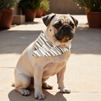 Pack 2 unidades bandana para mascotas XALÓ C