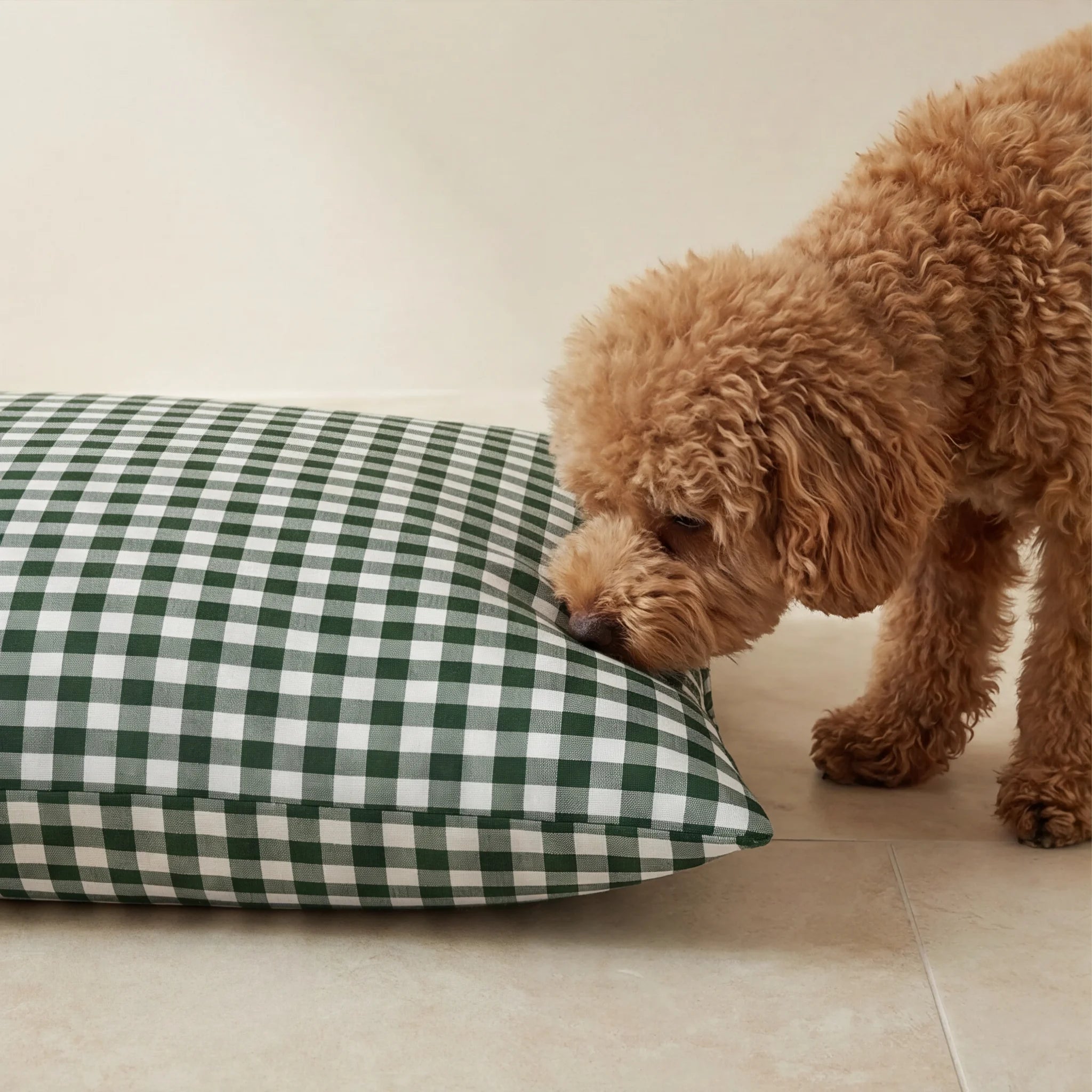 Stain-resistant pet bed with removable cover, Aielo Bottle