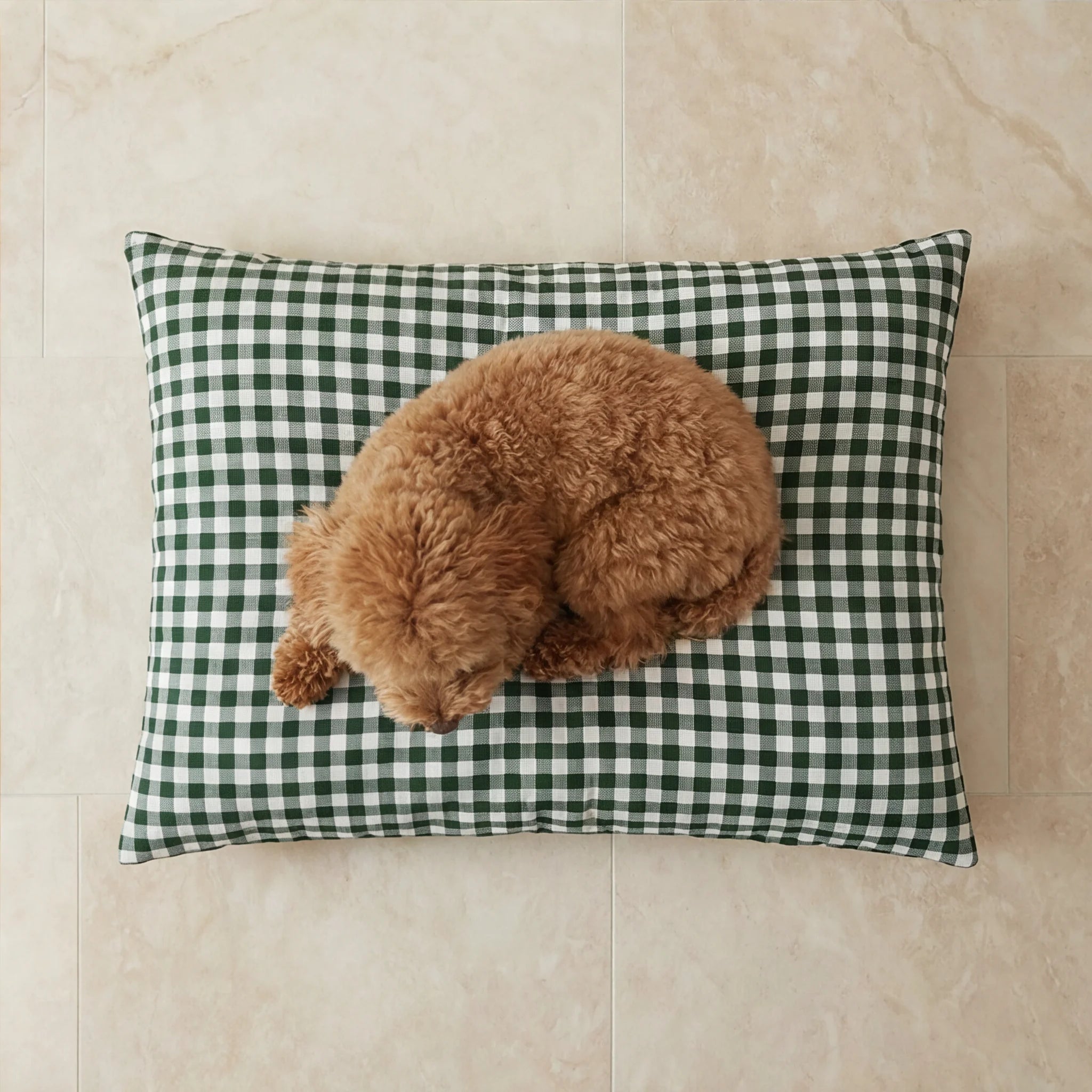 Stain-resistant pet bed with removable cover, Aielo Bottle