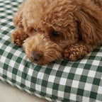 Stain-resistant pet bed with removable cover, Aielo Bottle