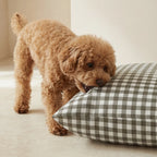 Aielo Brown Stain-Resistant Pet Bed with Removable Cover