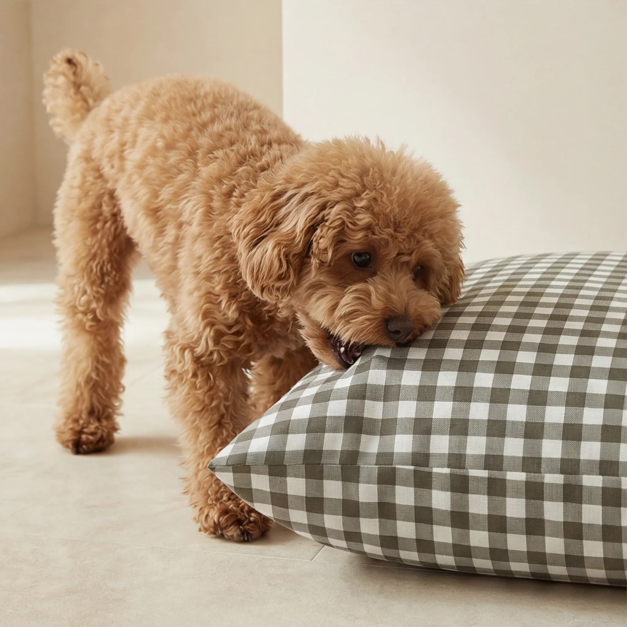 Cama para mascotas desenfundable antimanchas Aielo Marron