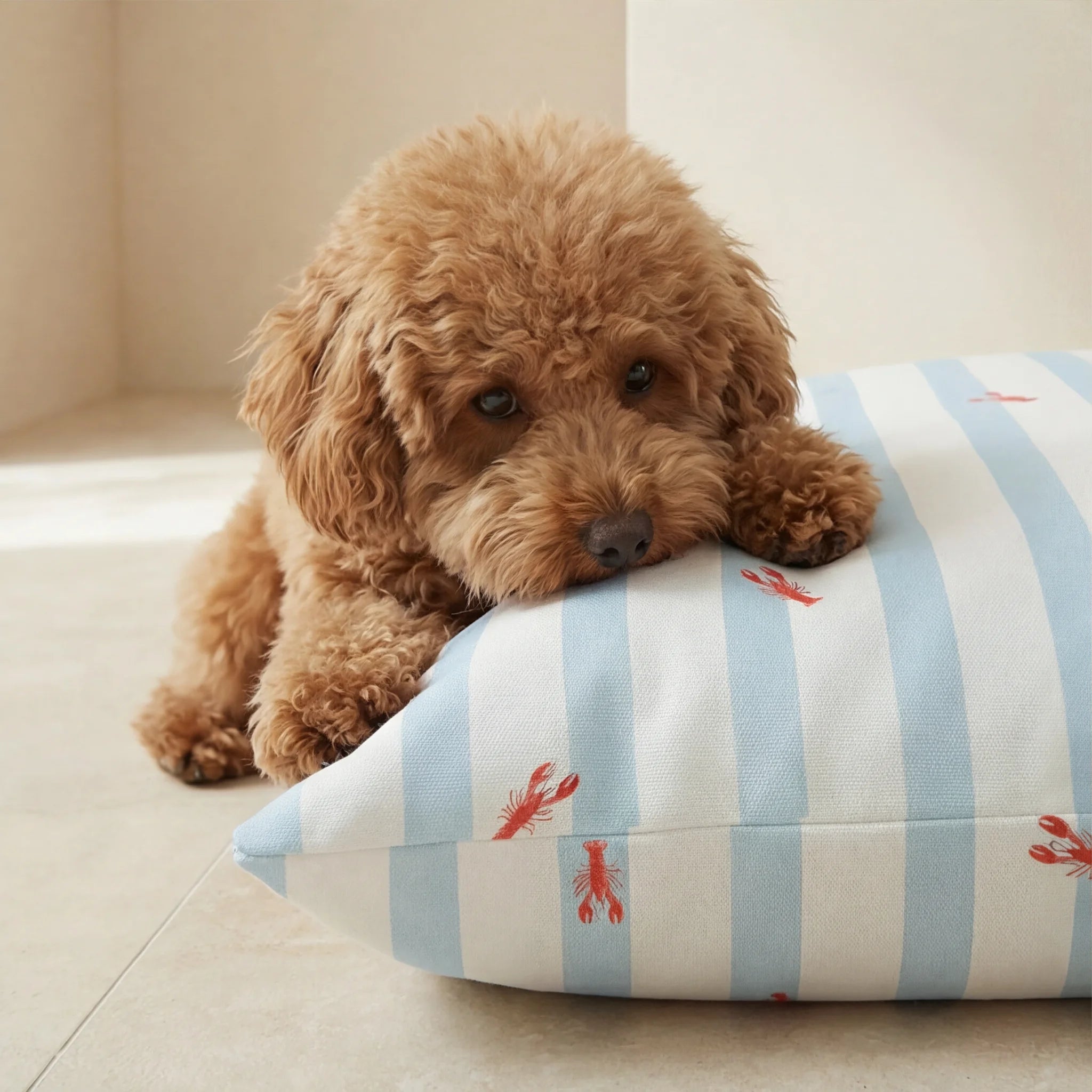 Anvi stain-resistant removable pet bed