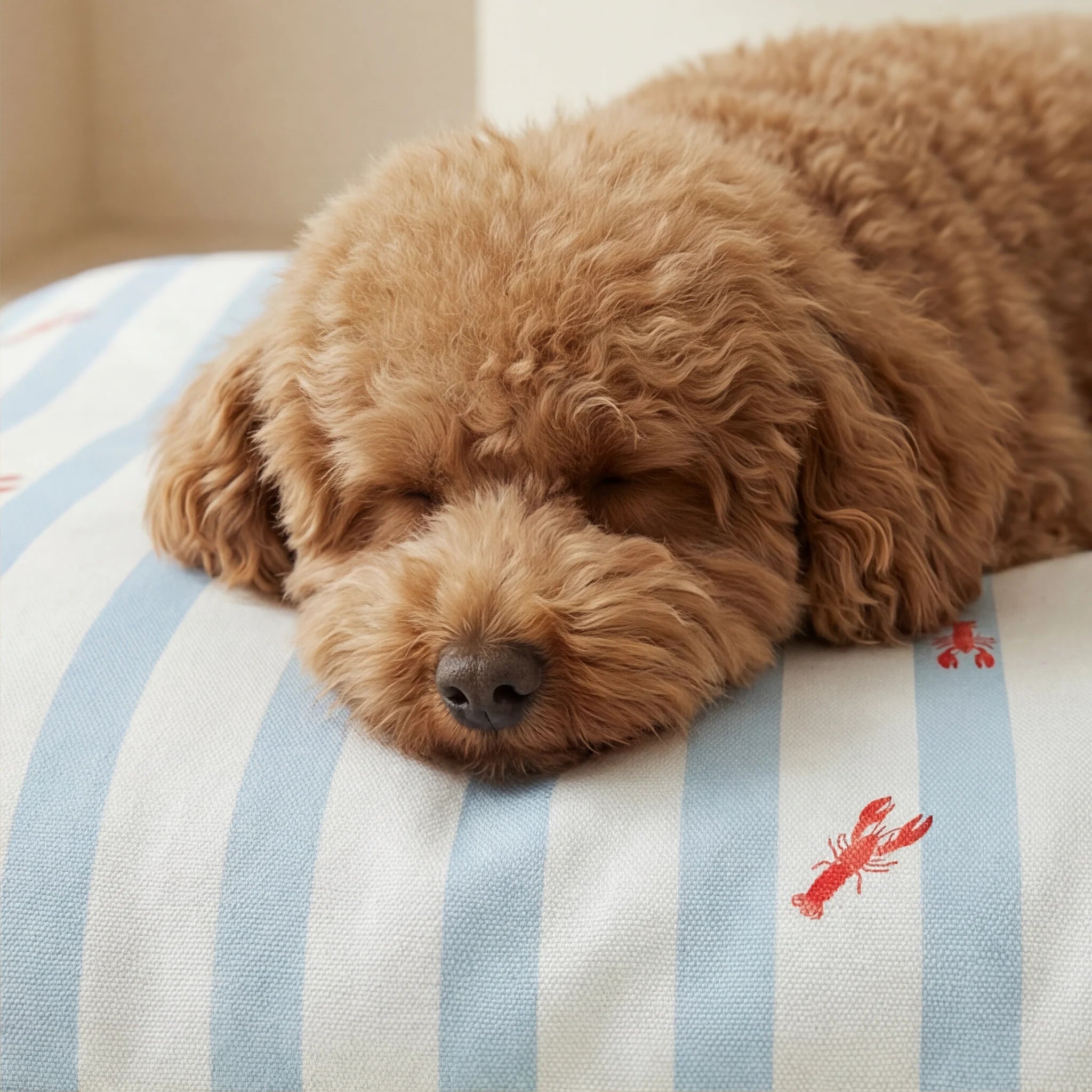 Anvi stain-resistant removable pet bed