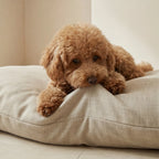 Stain-resistant removable pet bed Medium Beige
