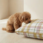 Benimodo stain-resistant pet bed cover