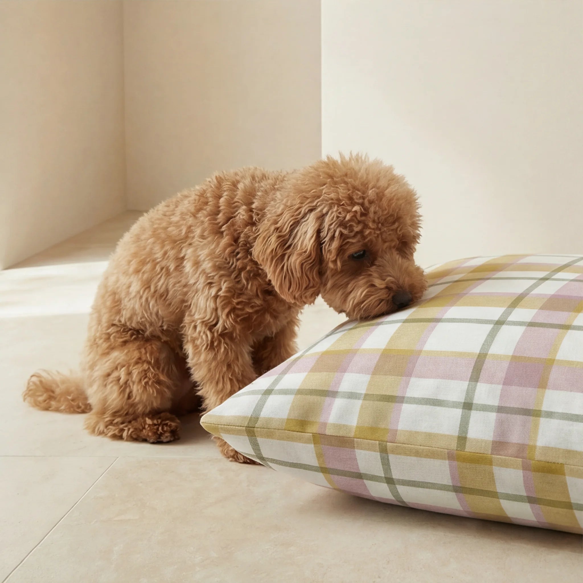 Benimodo stain-resistant pet bed cover