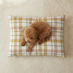 Benimodo Stain-Resistant Pet Bed with Removable Cover
