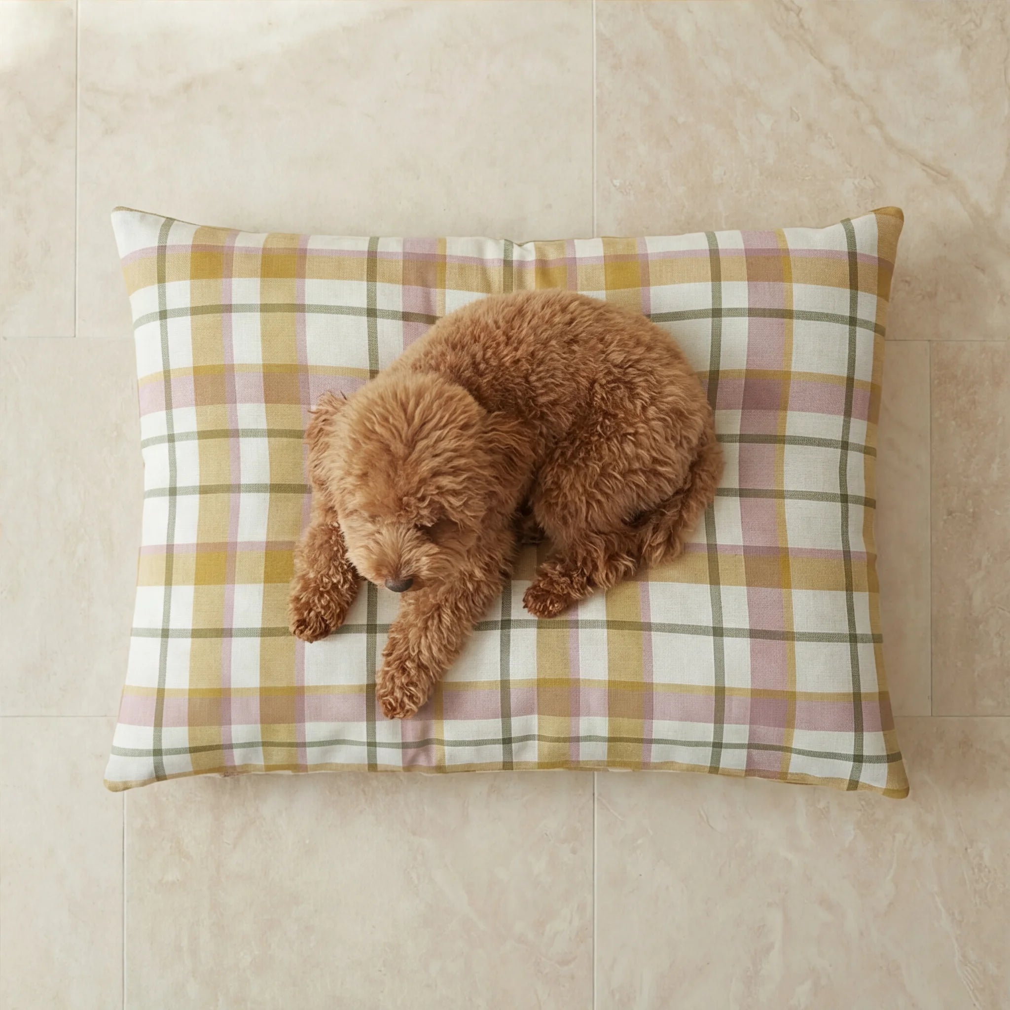 Benimodo Stain-Resistant Pet Bed with Removable Cover