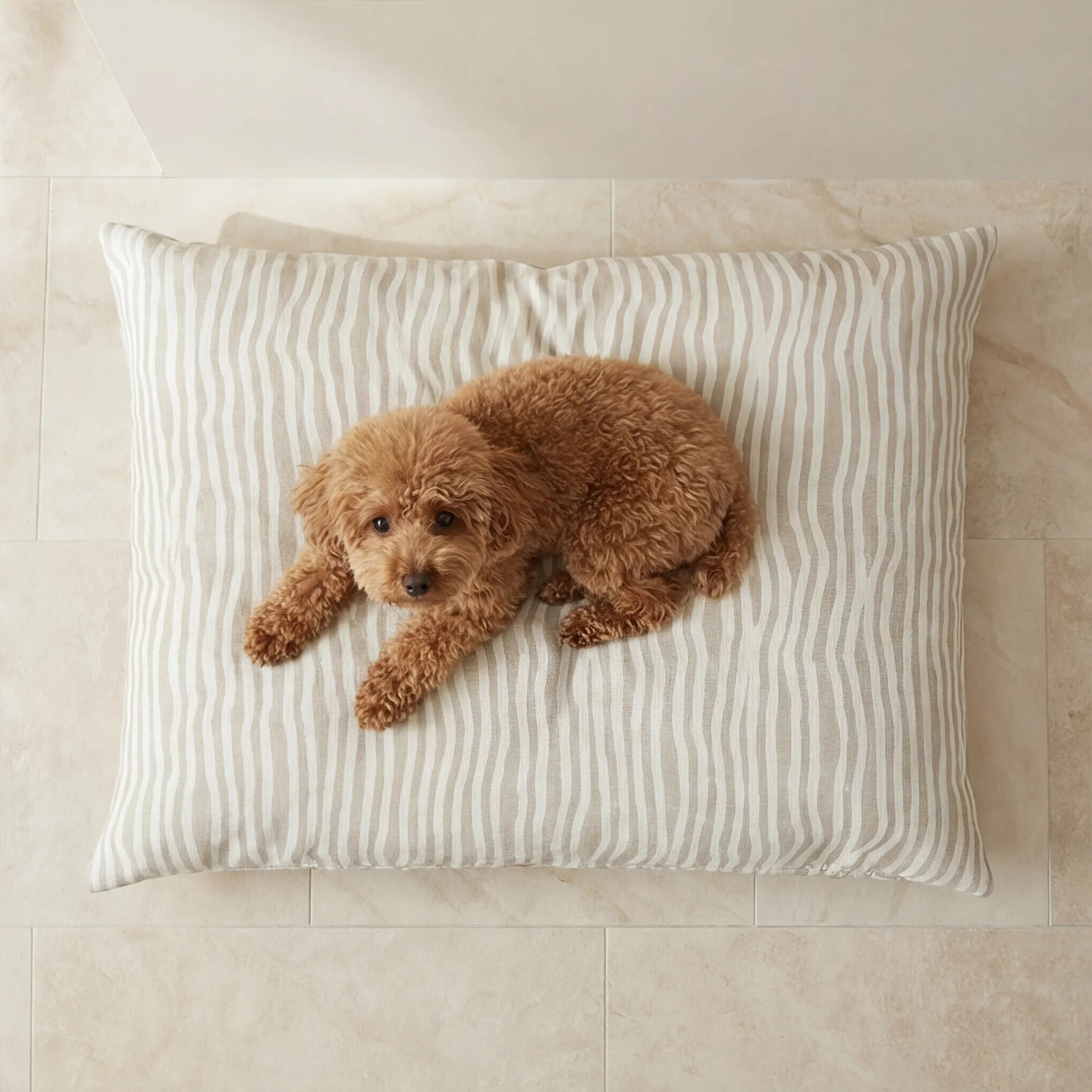 Bobby Beige removable stain-resistant pet bed