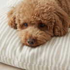 Bobby Beige removable stain-resistant pet bed