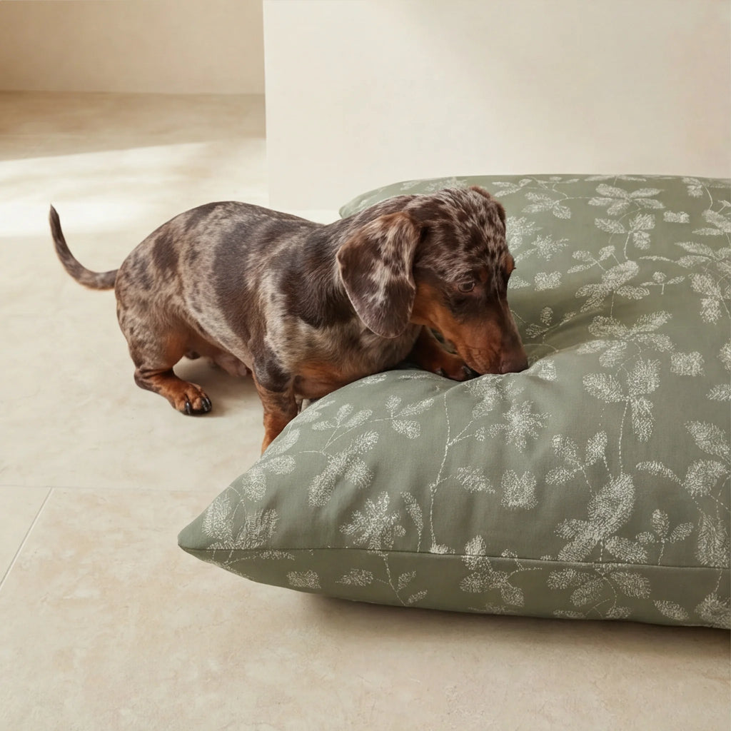 Stain-resistant pet bed cover Bolbaite