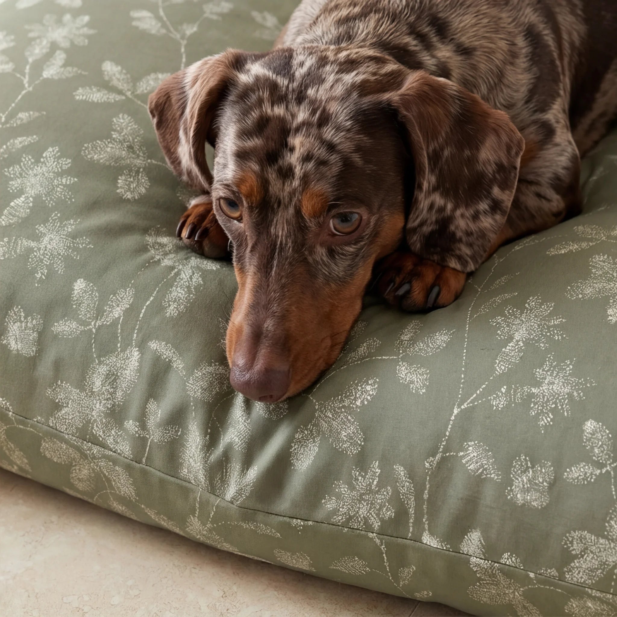 Stain-resistant pet bed cover Bolbaite