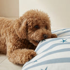 Stain-resistant pet bed cover Boni