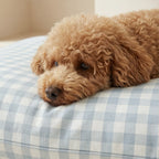 Stain-resistant pet bed cover Calafat Light Blue