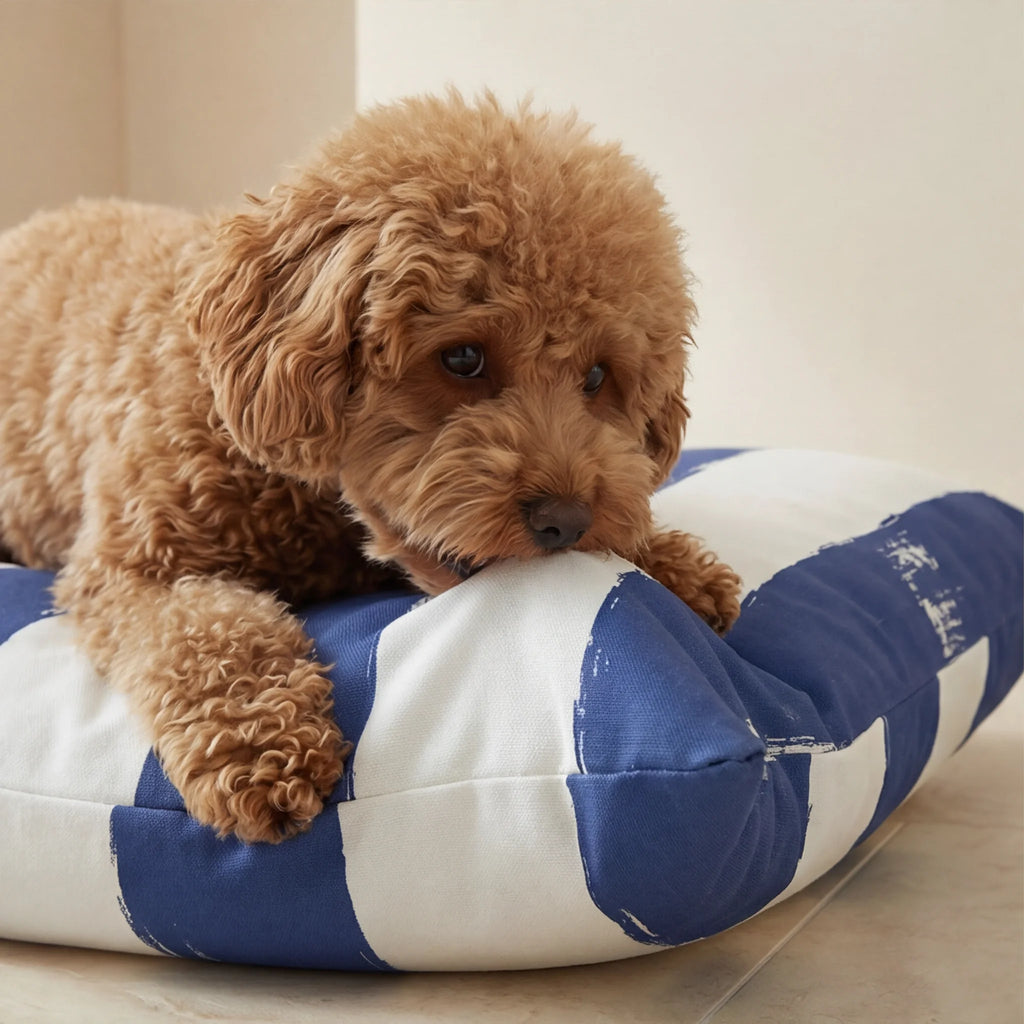 Stain-resistant pet bed cover Cambrils