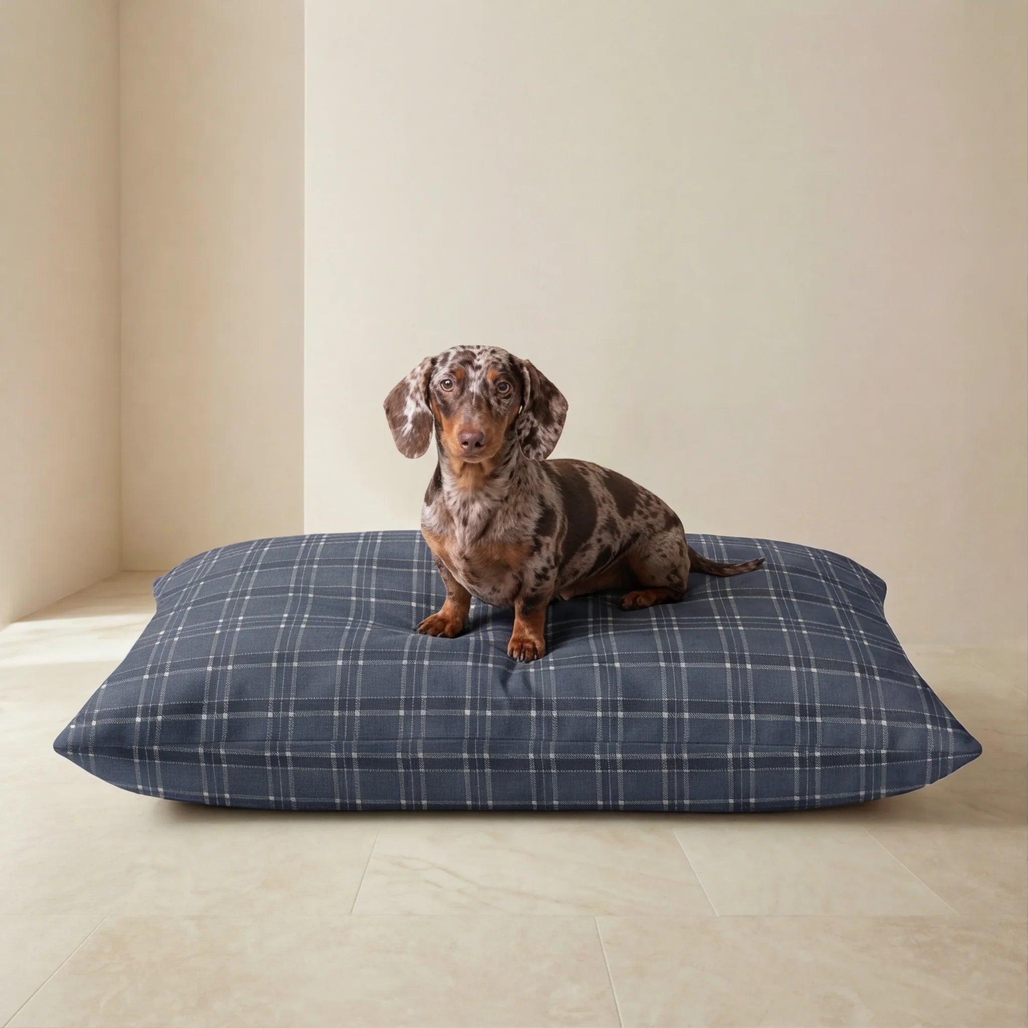 Stain-resistant removable pet bed Camilo Blue