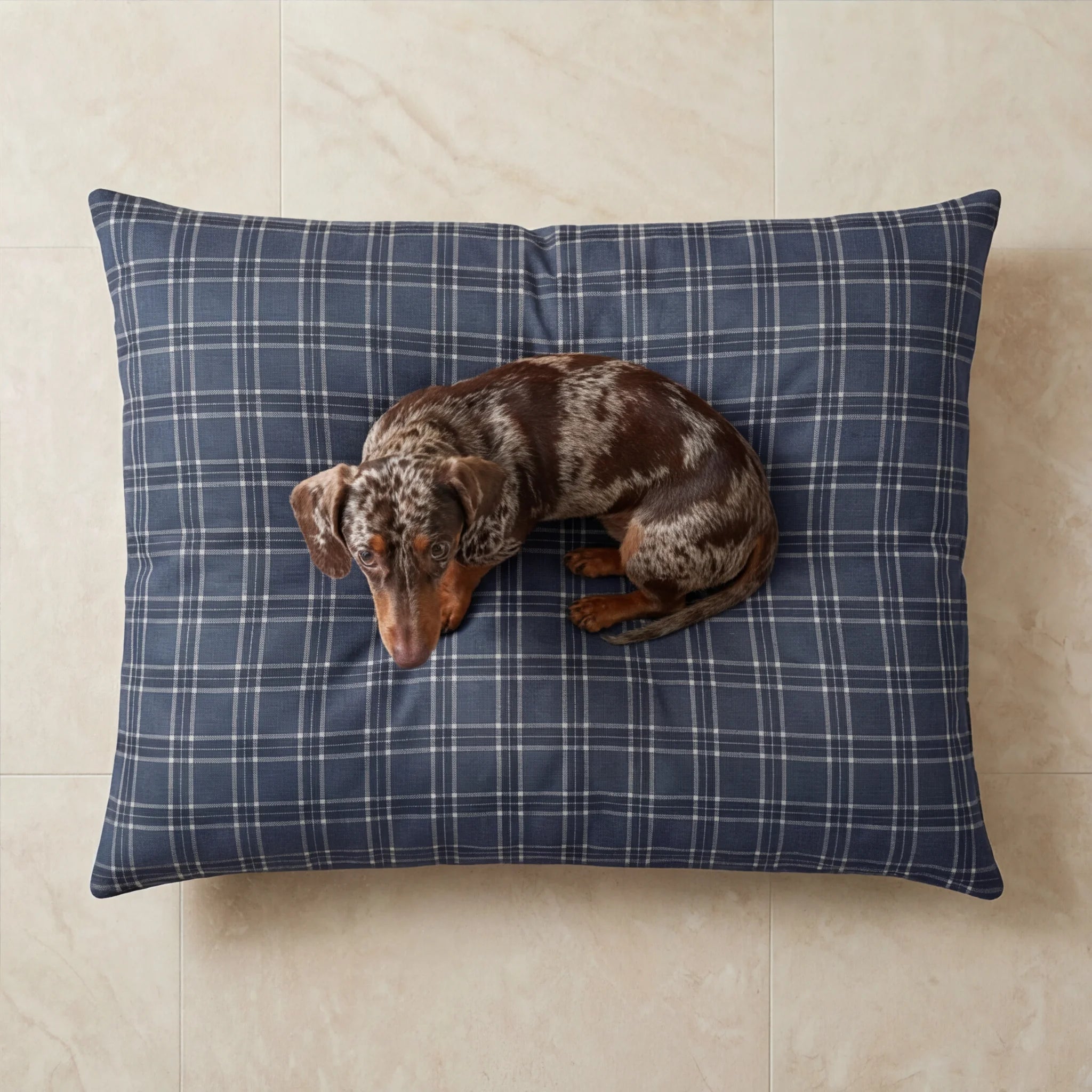 Stain-resistant removable pet bed Camilo Blue