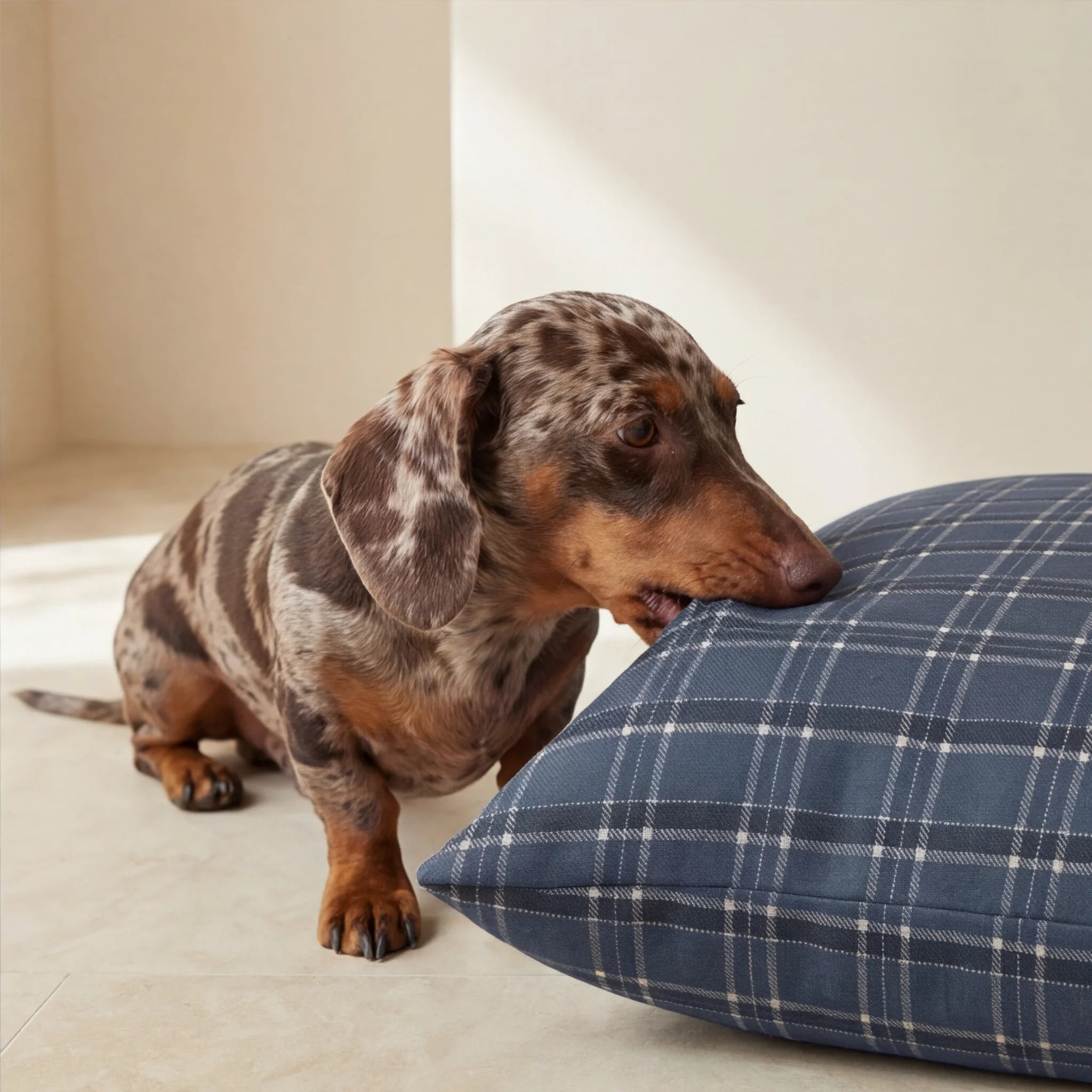 Stain-resistant removable pet bed Camilo Blue