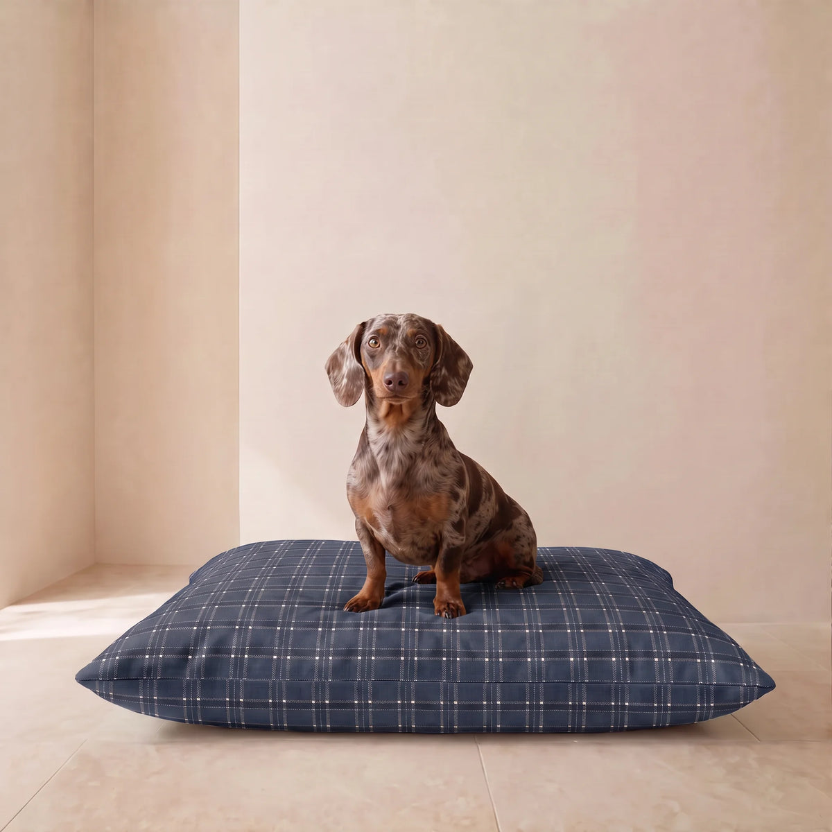 Cama para perro azul marino de cuadros con teckel sentado encima 